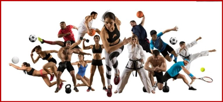 Perform-It Athletic Performance System