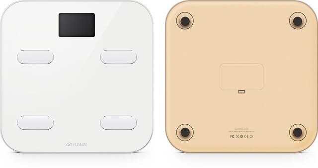 Smart Weight Digital Scale